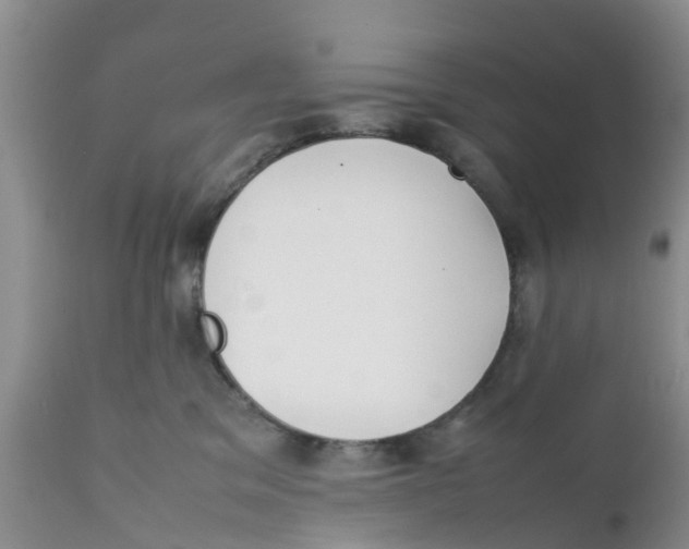 X0000111630329200908141349