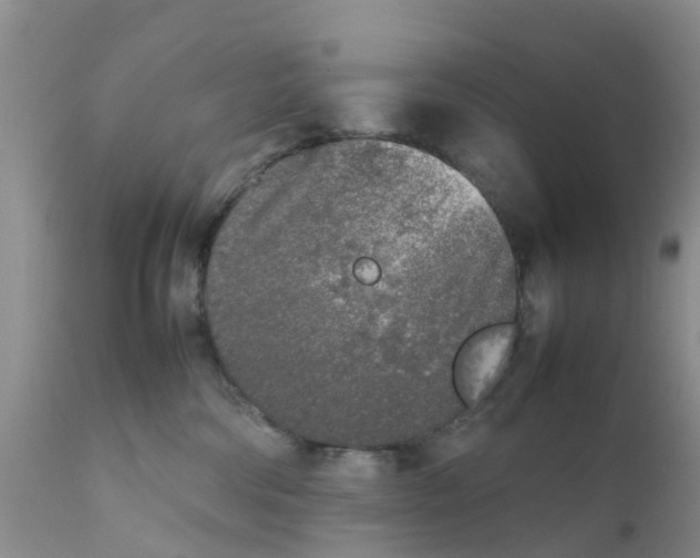 X0000111630330200908141349
