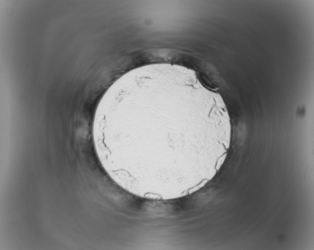 X0000111630331200908141349