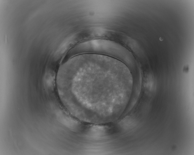 X0000111630332200908141349