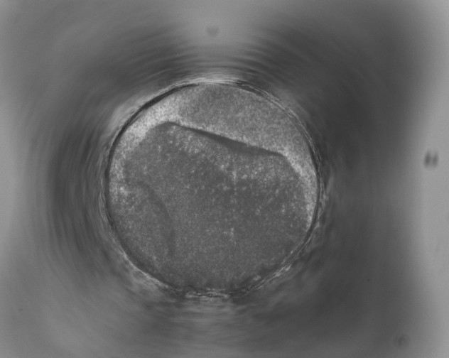 X0000111630337200908141349