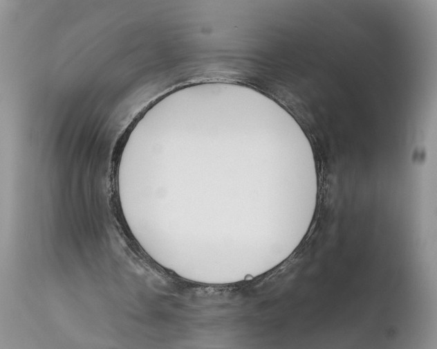 X0000111630338200908141349