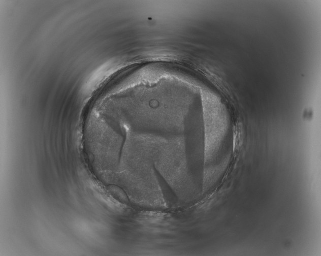 X0000111630339200908141349