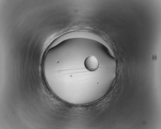 X0000111630340200908141349
