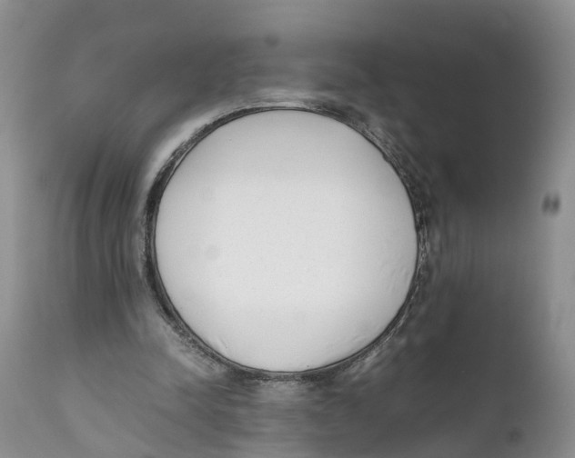 X0000111630342200908141349
