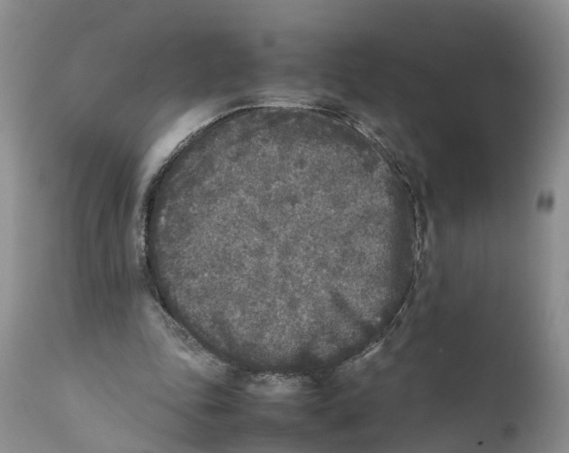 X0000111630343200908141349
