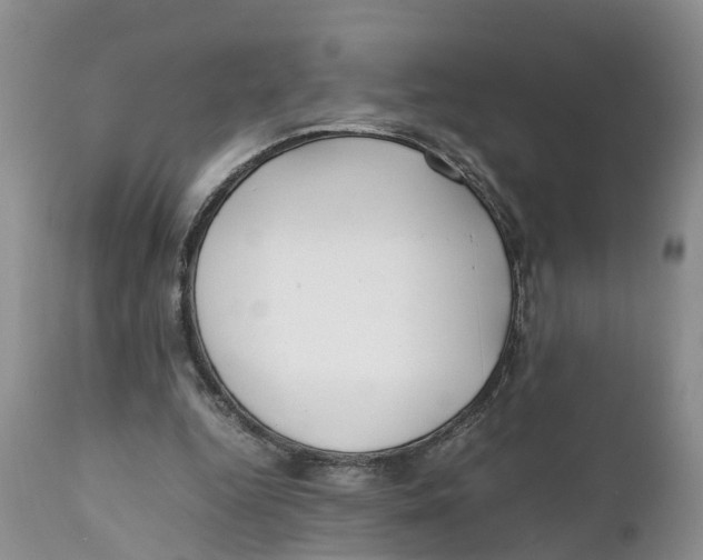 X0000111630344200908141349