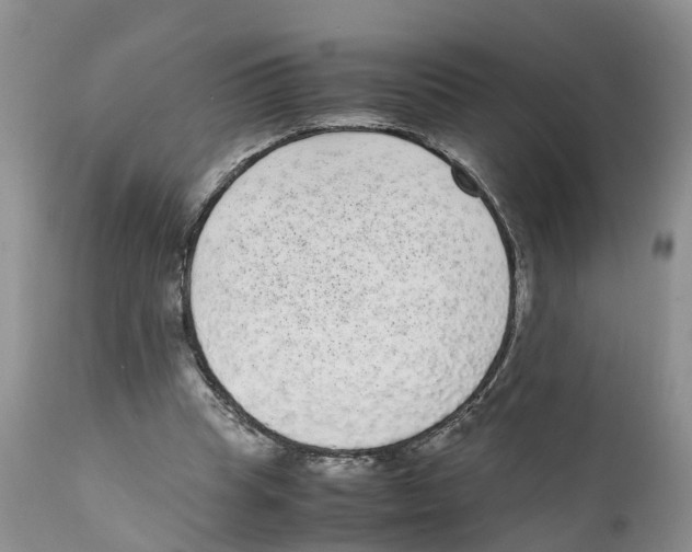 X0000111630345200908141349
