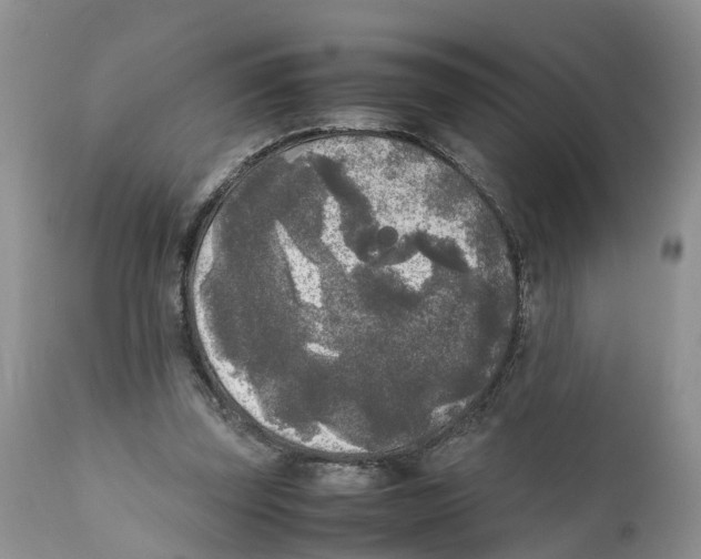 X0000111630347200908141349