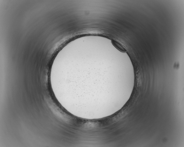 X0000111630350200908141349