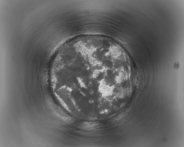 X0000111630351200908141349