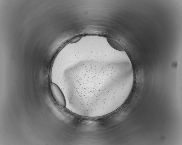 X0000111630352200908141349