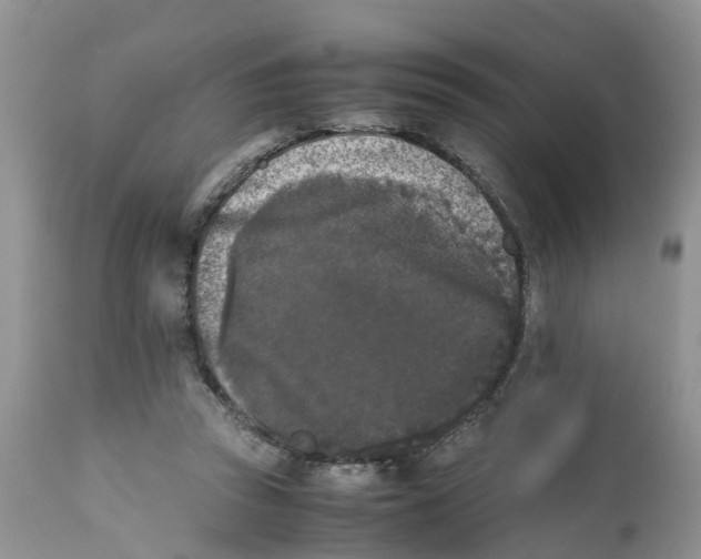 X0000111630353200908141349