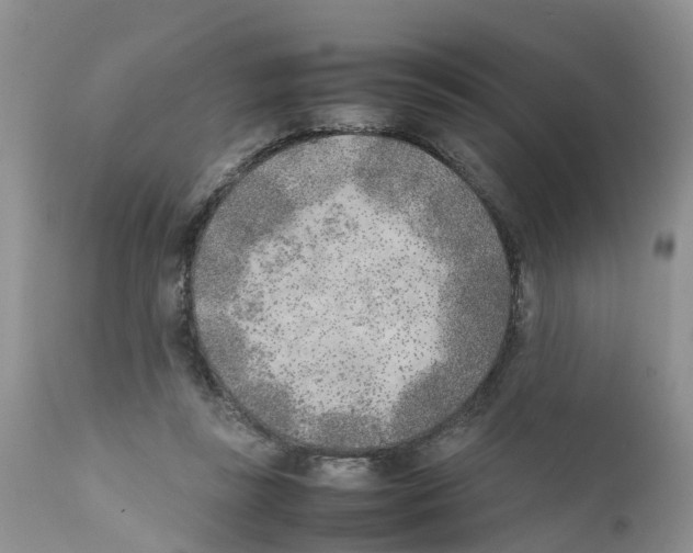 X0000111630355200908141349