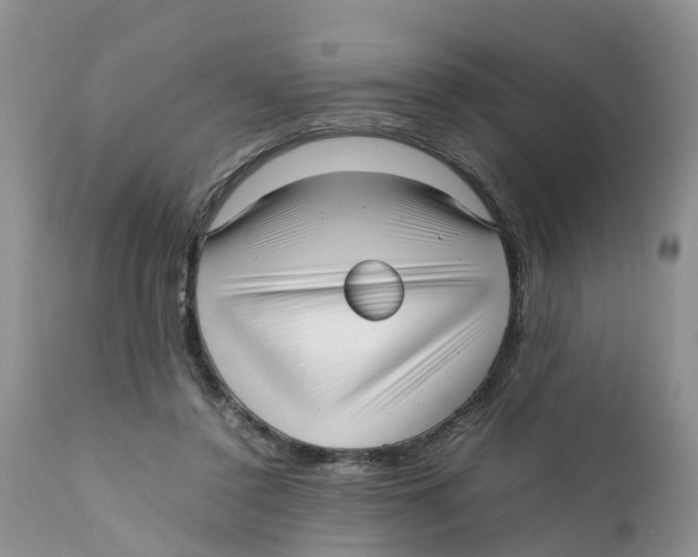 X0000111630356200908141349