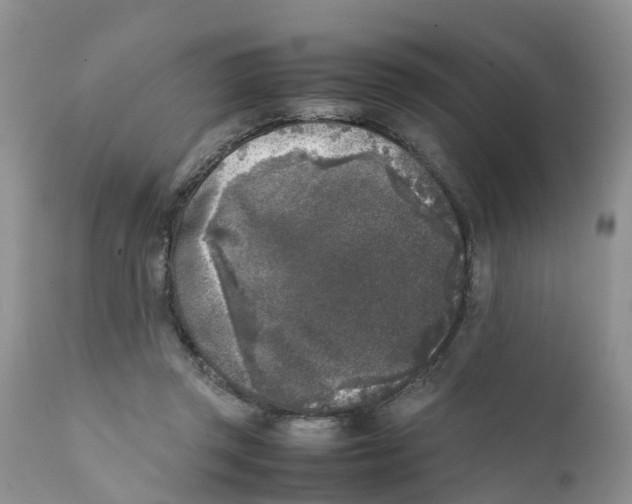 X0000111630357200908141349