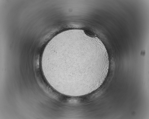 X0000111630358200908141349