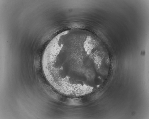 X0000111630359200908141349