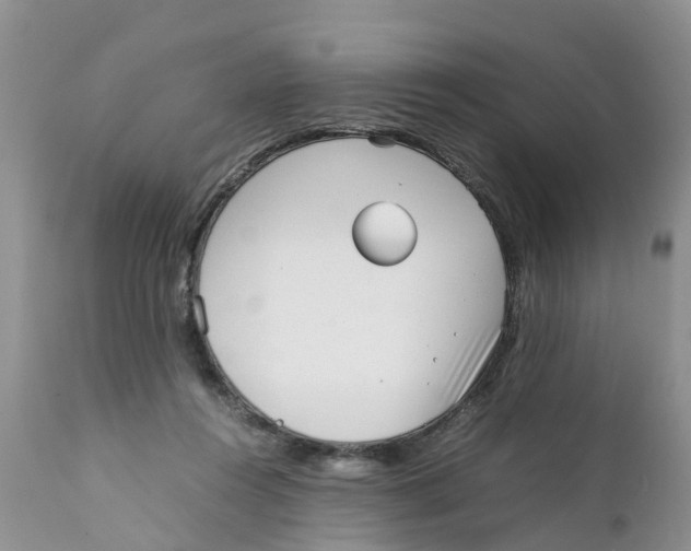X0000111630360200908141349