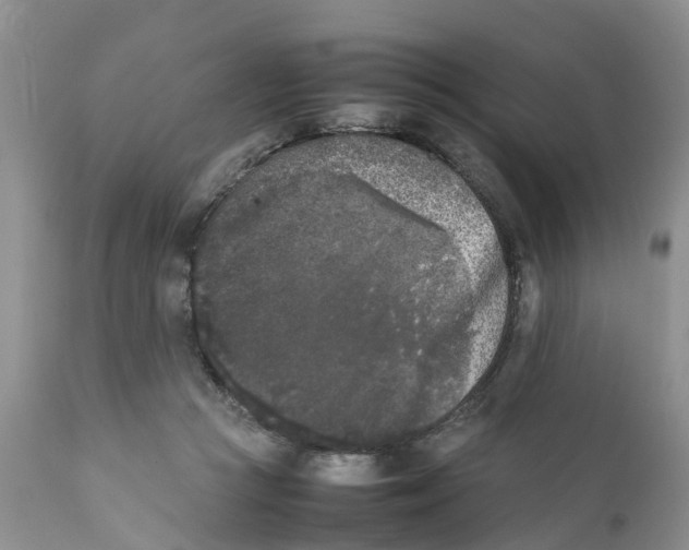 X0000111630361200908141349