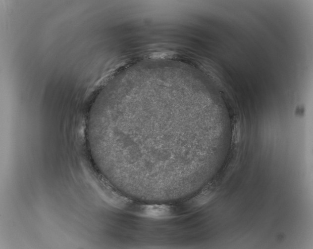 X0000111630363200908141349