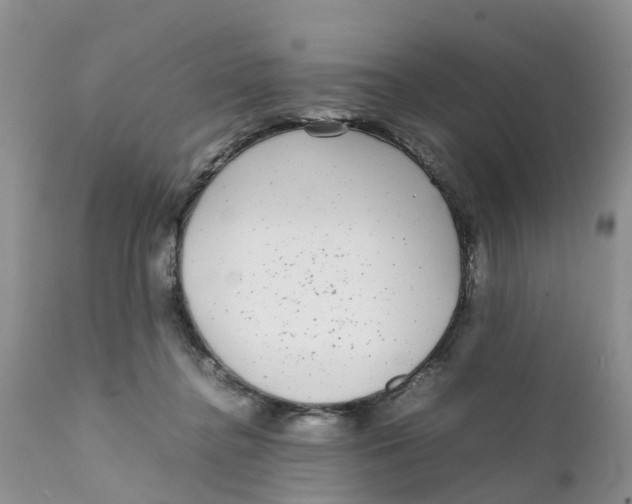 X0000111630364200908141349