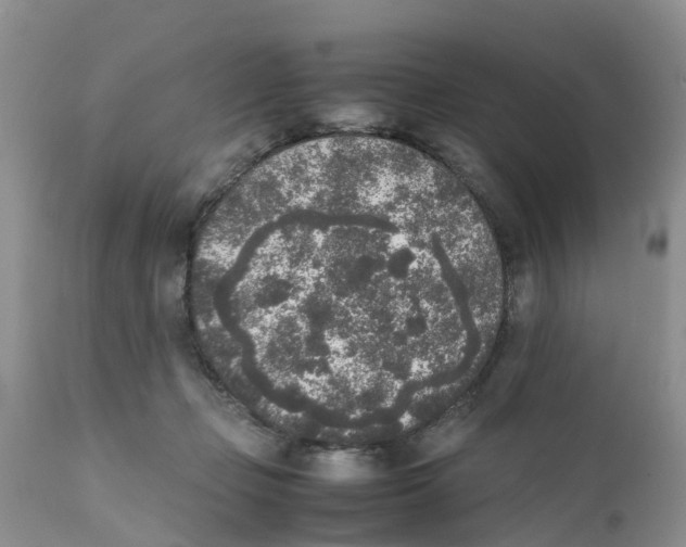 X0000111630365200908141349