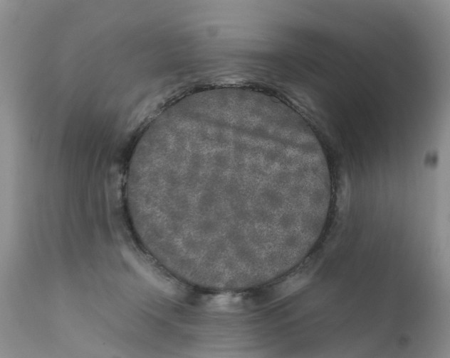 X0000111630366200908141349