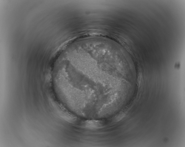X0000111630367200908141349