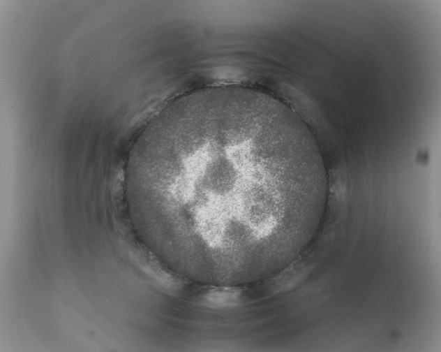 X0000111630369200908141349