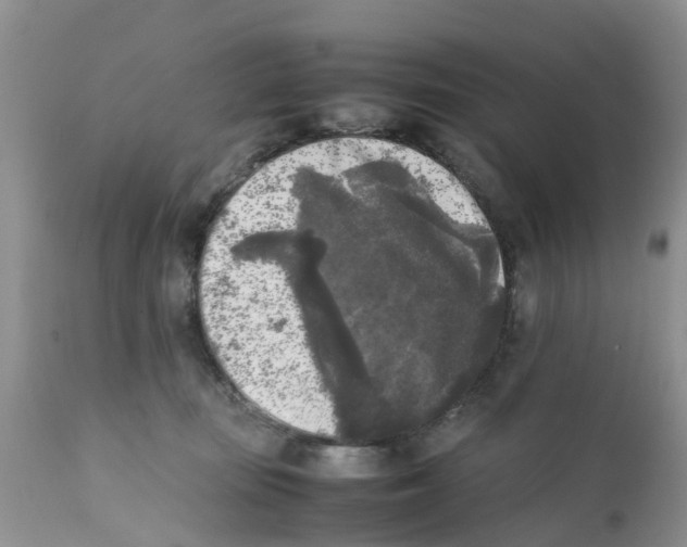 X0000111630371200908141349
