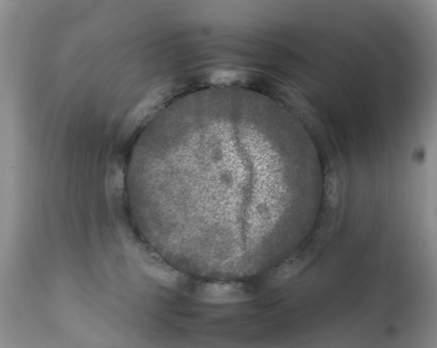 X0000111630375200908141349