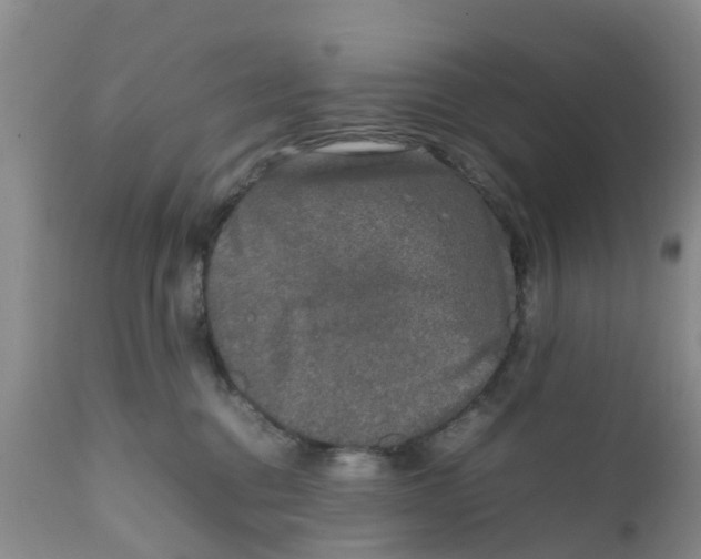 X0000111630376200908141349