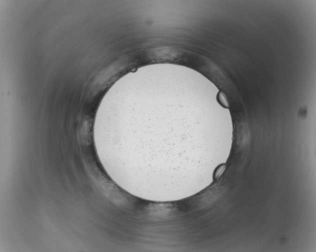 X0000111630378200908141349