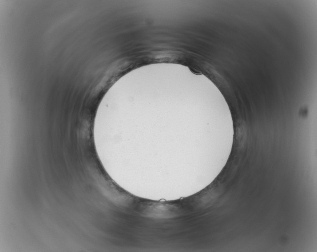 X0000111630379200908141349