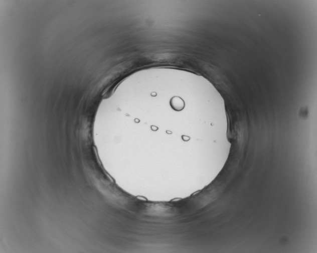 X0000111630380200908141349