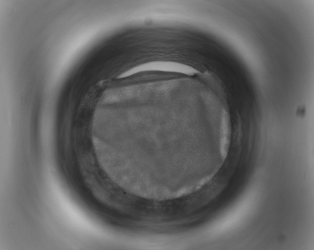 X0000111630383200908141349