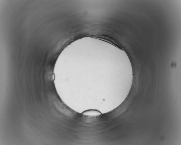 X0000111630384200908141349