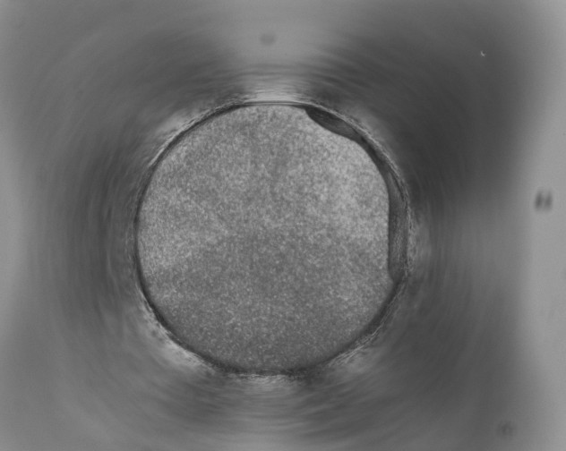X0000111630385200908141349