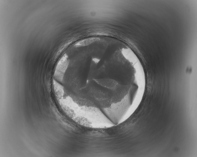 X0000111630386200908141349