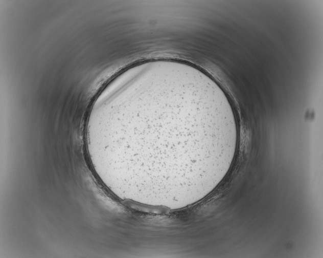 X0000111630389200908141349