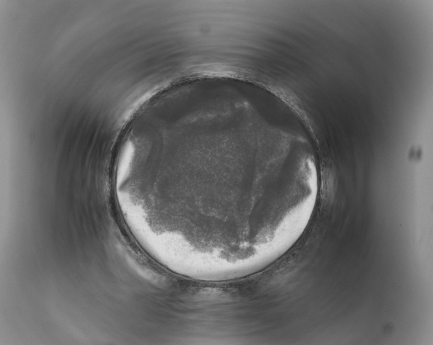 X0000111630390200908141349