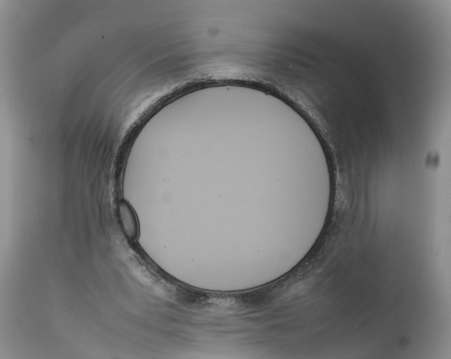 X0000111630391200908141349