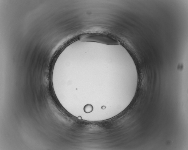 X0000111630392200908141349