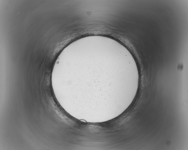 X0000111630393200908141348