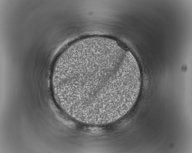 X0000111630395200908141348