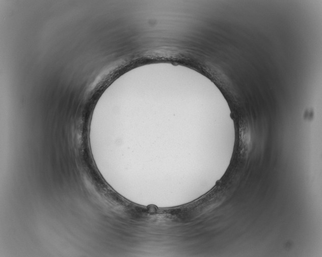 X0000111630396200908141348