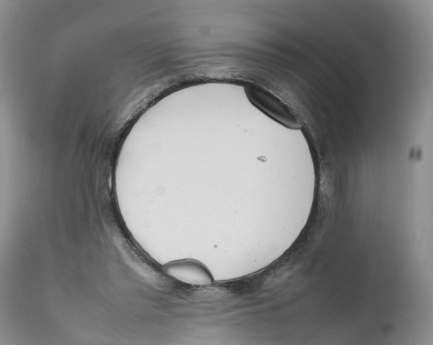 X0000111630397200908141348