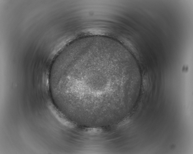 X0000111630398200908141348
