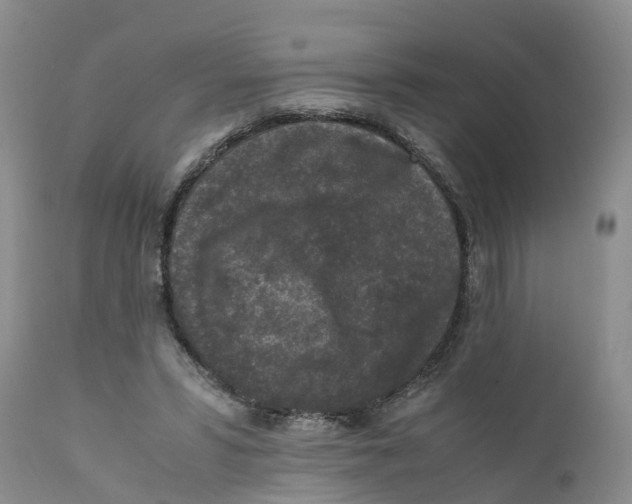 X0000111630399200908141348